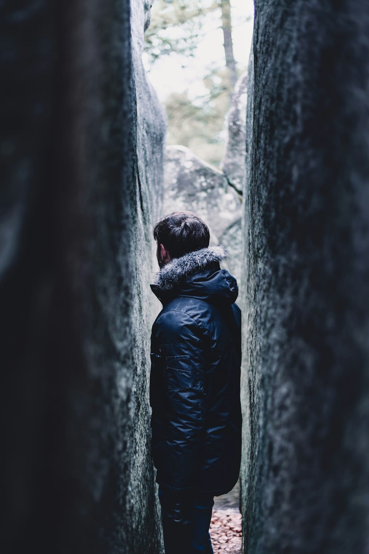 Breaking Down Artificial Narrow Intelligence