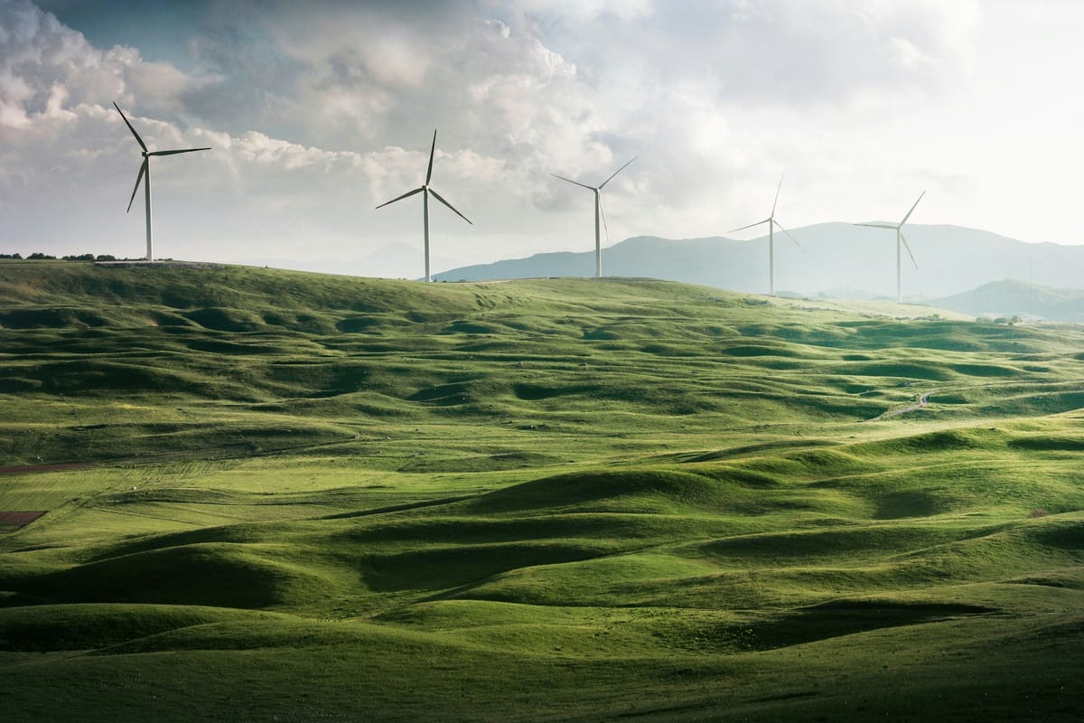 How Environmental Consulting Services Can Boost Your Business Impact