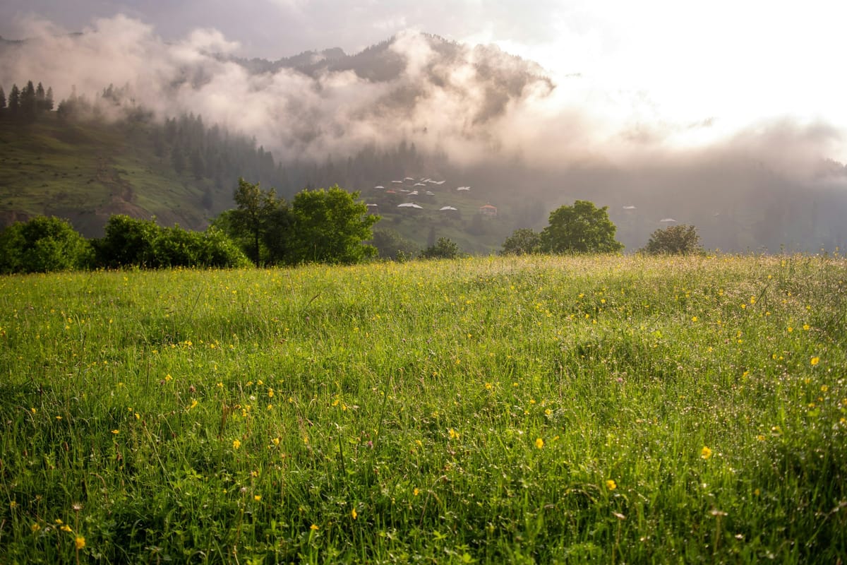 How to Create a Greener Website