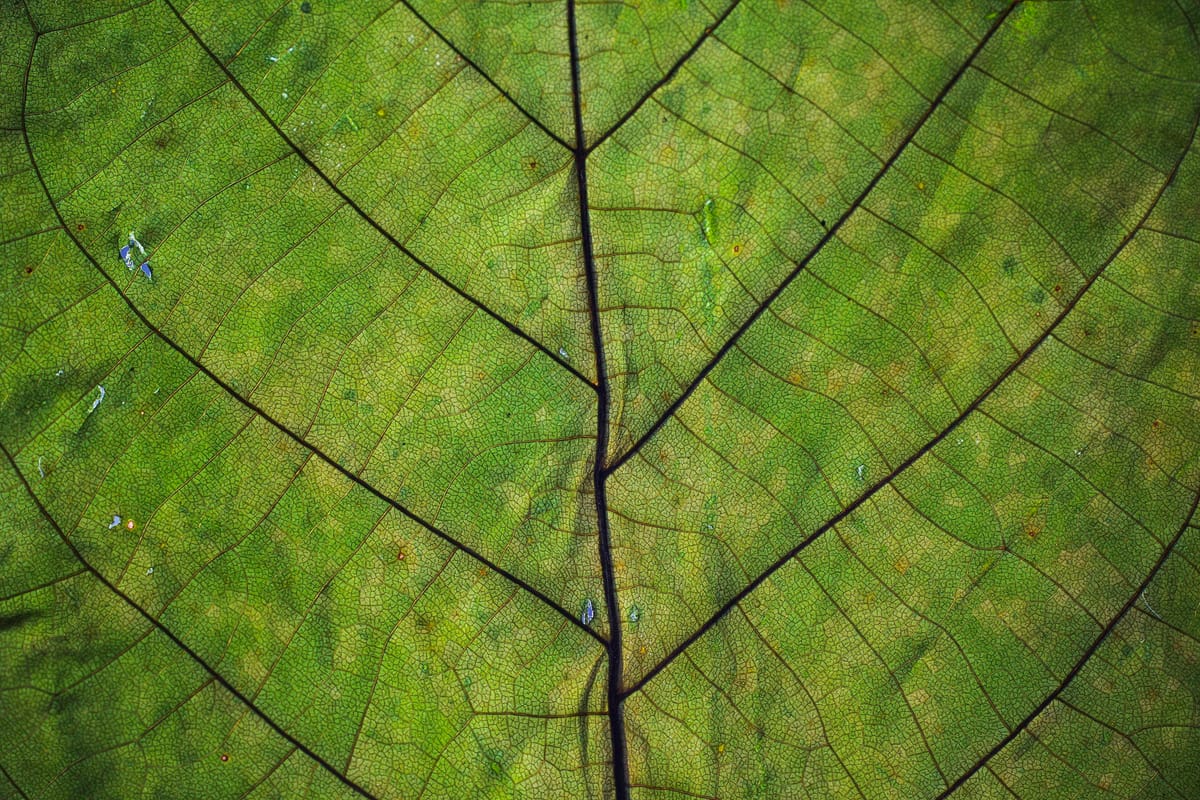A Guide to Navigating the ESG Framework Landscape