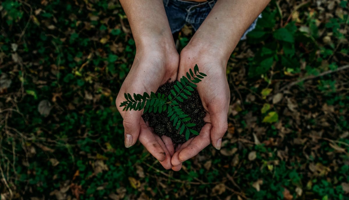 Sustainability Principles in Practice