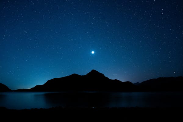 Navigating the World of Sustainability Claims