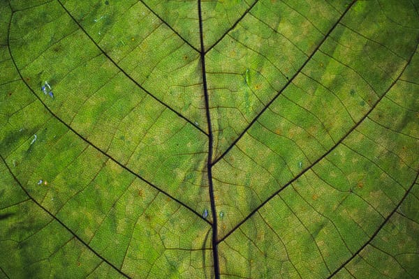 A Guide to Navigating the ESG Framework Landscape